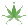 GrowerMind AI